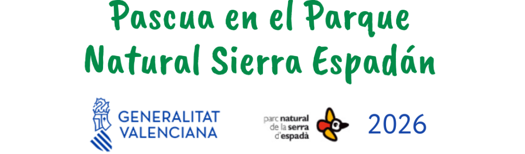 Portada publis web (3)